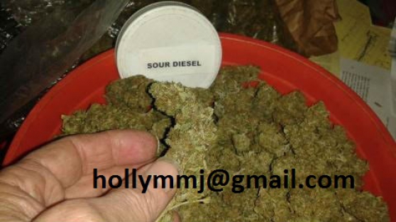 Annonce occasion, vente ou achat 'Marijuana mdicale d\'intrieur, plateau'