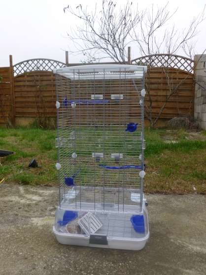 Annonce occasion, vente ou achat 'cage oiseaux + nourriture'
