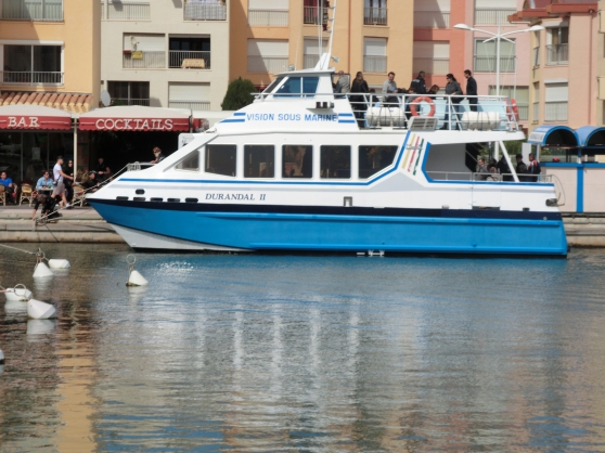 Annonce occasion, vente ou achat 'A vendre magnifique catamaran de 107 pas'
