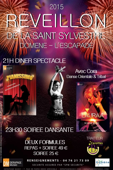 Annonce occasion, vente ou achat 'Rveillon de la Saint Sylvestre 2015'