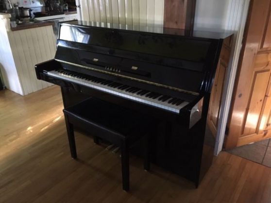 Annonce occasion, vente ou achat 'Excellent piano, Modle C108 43'