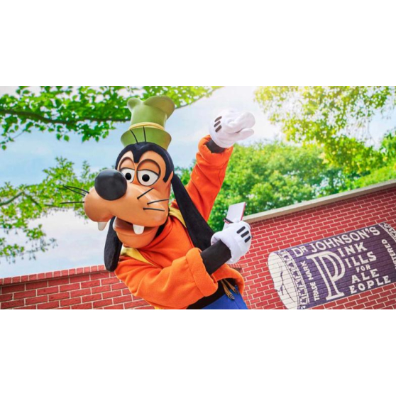 Billet Disneyland liberté non daté 1jour
