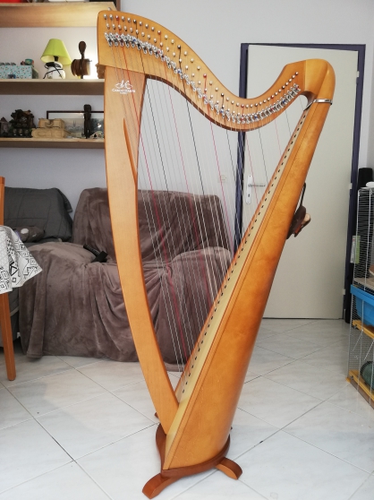 Annonce occasion, vente ou achat 'Harpe celtique Camac 38 cordes'