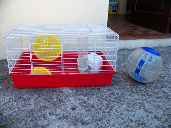 Annonce occasion, vente ou achat 'cage pour hamster'
