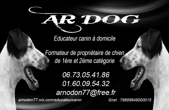 Annonce occasion, vente ou achat 'ducateur Canin / Formation chiens'
