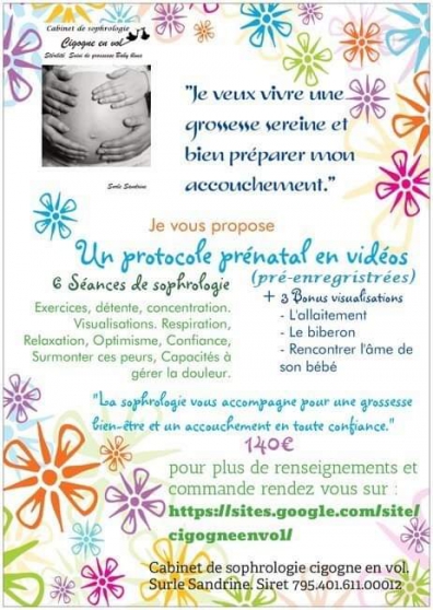 Annonce occasion, vente ou achat 'Protocole d accompagnement grossesse'