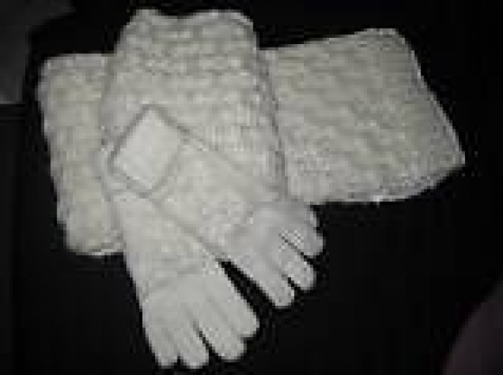 Annonce occasion, vente ou achat 'charpe+gants femme'