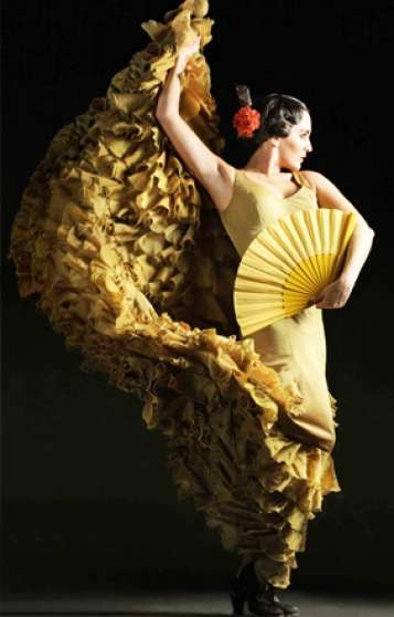 Annonce occasion, vente ou achat 'Cours danse flamenco Avignon'
