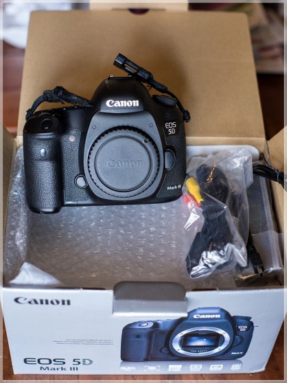 Canon 5D Mark III + Batteries + Cartes