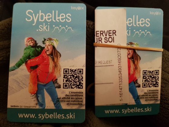 Annonce occasion, vente ou achat 'forfaits les Sybelles'