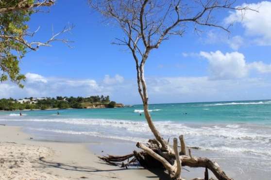 Annonce occasion, vente ou achat 'Location 2 pices le Gosier - Guadeloupe'