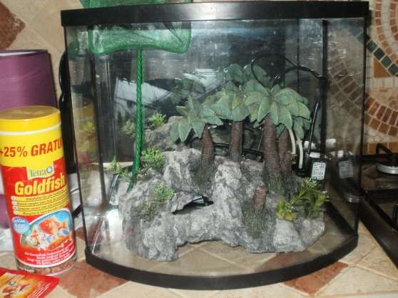 Aquarium avec accessoire en très bon éta