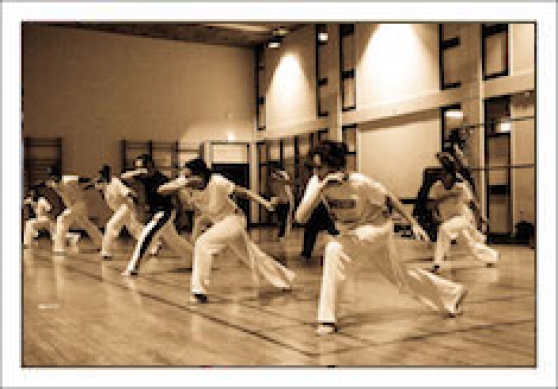 Annonce occasion, vente ou achat 'Cours Capoeira Paris'