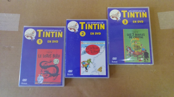 Annonce occasion, vente ou achat 'Les Aventures de Tintin en DVD #1 #2 #3'
