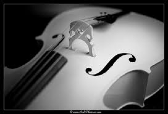 Annonce occasion, vente ou achat 'Cours particuliers de violoncelle'