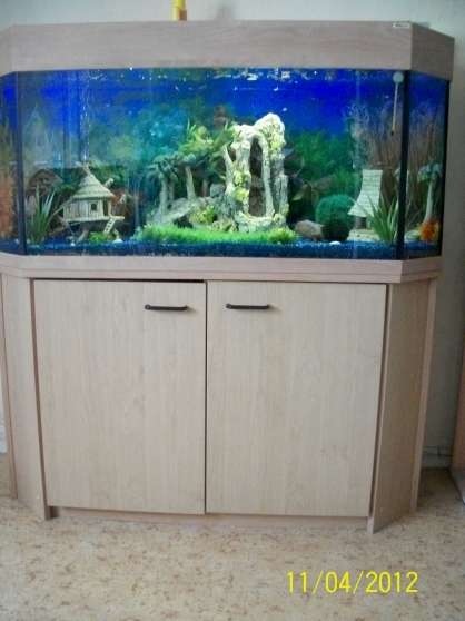 Annonce occasion, vente ou achat 'aquarium complet 300 l avec meuble'