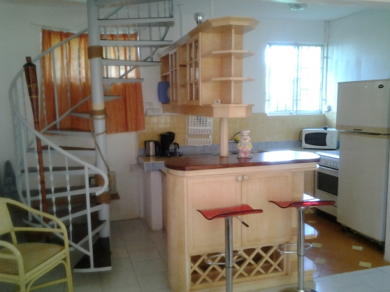 Annonce occasion, vente ou achat 'locations ILE MAURICE'
