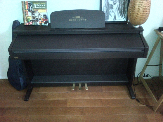 Annonce occasion, vente ou achat 'Piano numrique .Hemingway DP501'