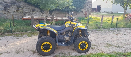 Annonce occasion, vente ou achat '500 can-am Renegade'