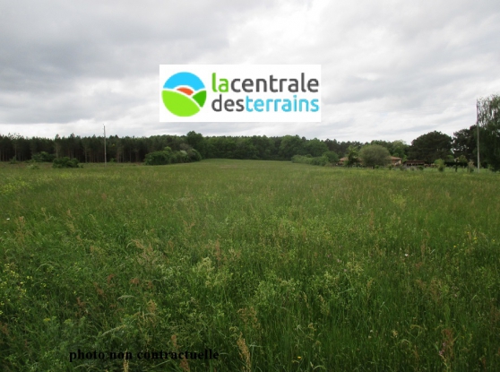 terrain agricole 6 hectares