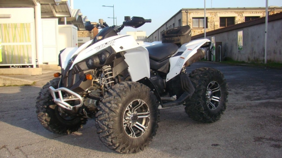 Annonce occasion, vente ou achat 'Can-am renegade'