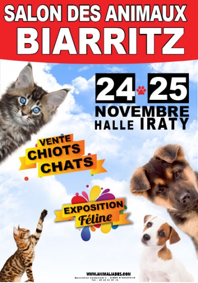 Annonce occasion, vente ou achat 'salon des animaux biarritz'