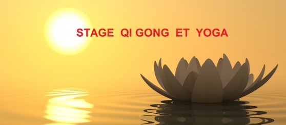 Stage de Qi gong et de Yoga à Metz