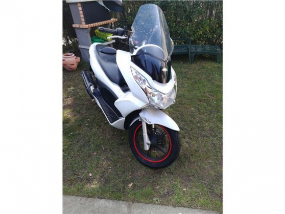 scooter pcx 125