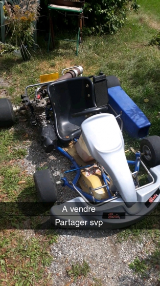 Annonce occasion, vente ou achat 'Karting 100cc iame'
