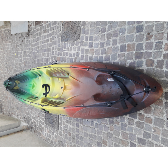 Annonce occasion, vente ou achat 'Kayak rotomod oc�an duo'