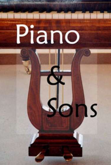 EXPERTISE DIAGNOSTIC Pianos Occasion