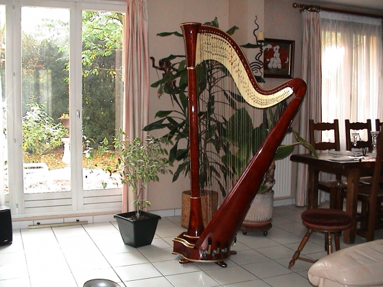 Annonce occasion, vente ou achat 'Harpe de concert 47 cordes double'
