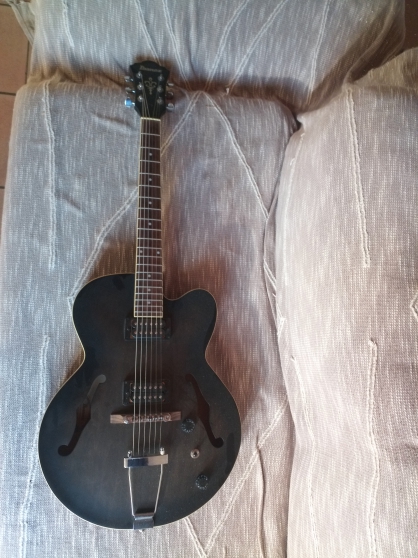 Annonce occasion, vente ou achat 'Ibanez af55'