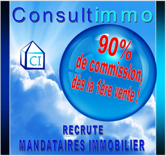 Annonce occasion, vente ou achat '84 Mandataires immobilier Consultimmo'