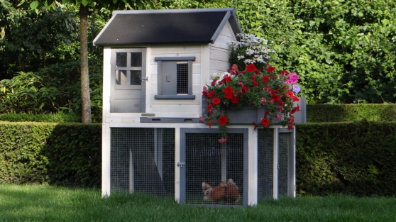 Poulailler Avec Jardinière Marchefr