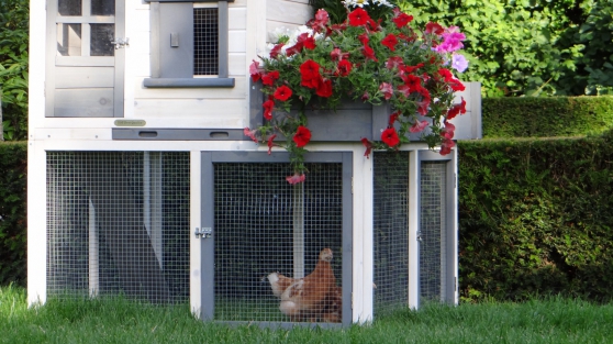 Poulailler Avec Jardinière Marchefr