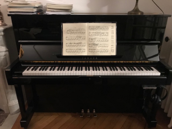 Annonce occasion, vente ou achat 'Piano droit Yamaha U1 Silent'
