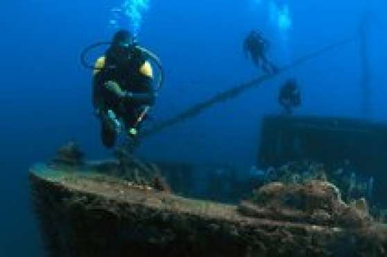 Annonce occasion, vente ou achat 'Formation Plonge Niveau 3 - Deep Diver'