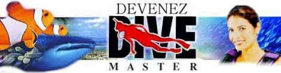 Annonce occasion, vente ou achat 'Formation plonge Niveau 4 - Dive Master'