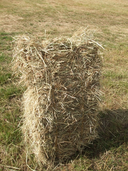 FOIN ET PAILLE EN PETITS BALLOTS 2016