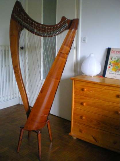 Annonce occasion, vente ou achat 'Location de harpe celtique d\'occasion'