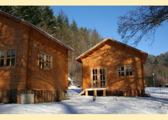 Annonce occasion, vente ou achat 'Chalet en bois dans les Vosges Alsacienn'