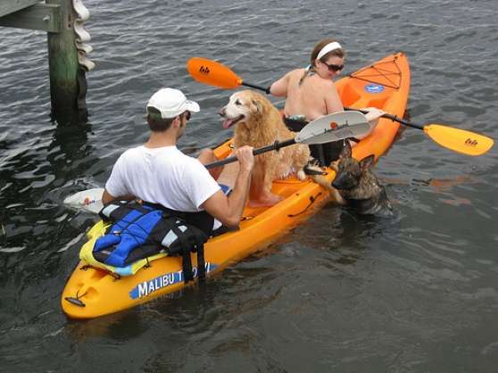 Annonce occasion, vente ou achat 'Loue kayak en provence'