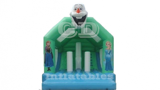 Annonce occasion, vente ou achat 'Inside Slide Frozen- topogane!'