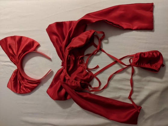 Annonce occasion, vente ou achat 'tenue complte sexy rouge'