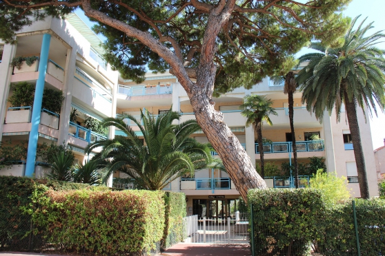 Annonce occasion, vente ou achat 'Cannes Appartement a 700m de la plage'