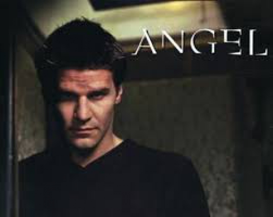 Annonce occasion, vente ou achat 'Angel intgral de la srie en DVD'