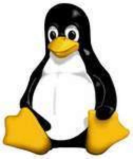 Annonce occasion, vente ou achat 'Initiation informatique sous Linux'