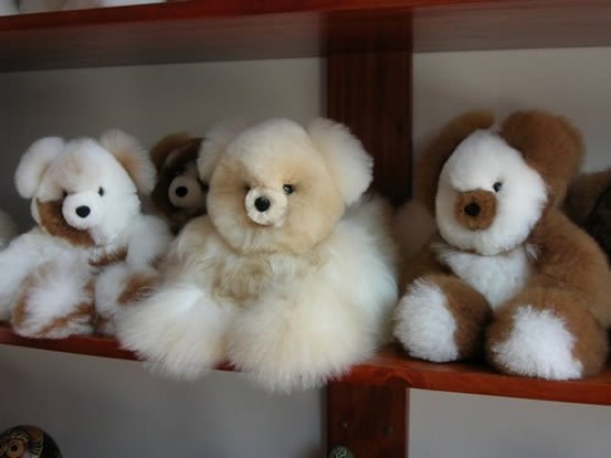 Annonce occasion, vente ou achat 'Magnifique ours en duvet alpaga (tondu)'