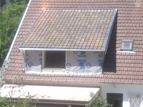 couvreur velux bardage